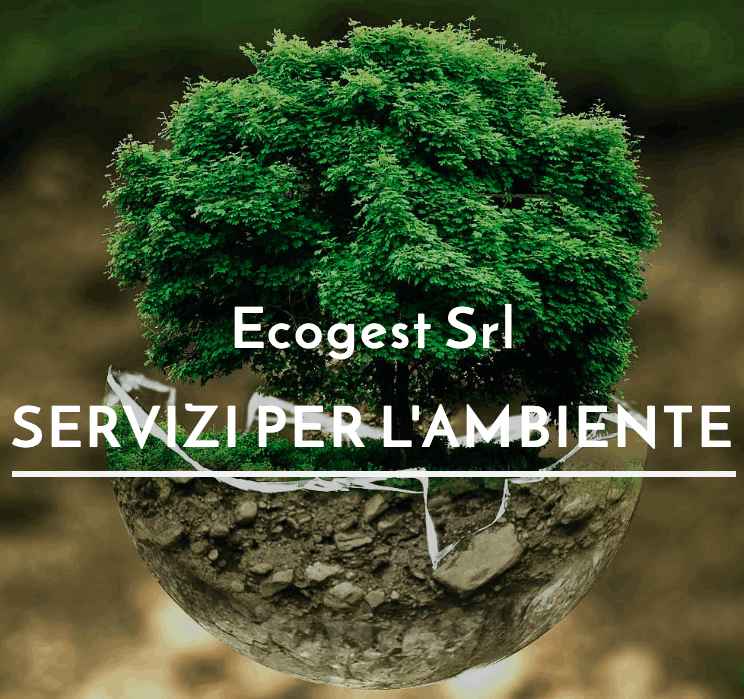 Ecogest srl